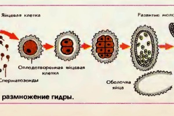 Новый адрес кракен