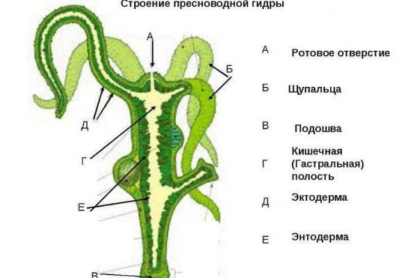 Сайт кракен онион