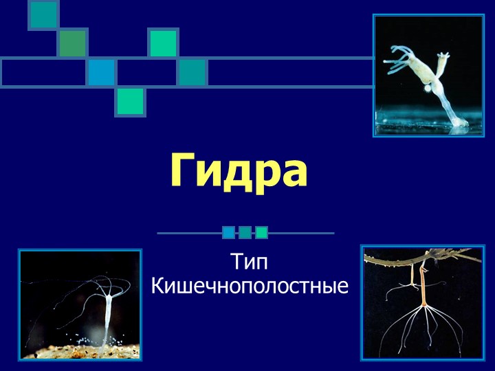 Кракен ссылка на тор официальная