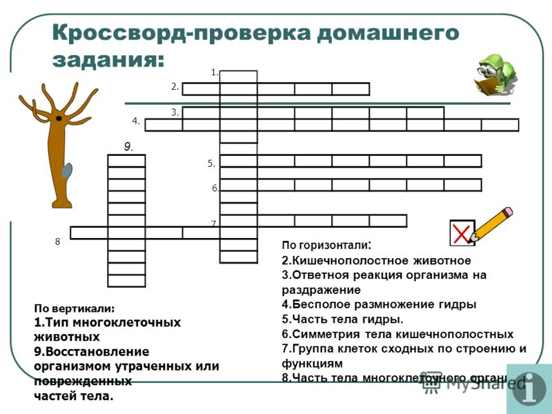 Ссылка кракена kraken clear com